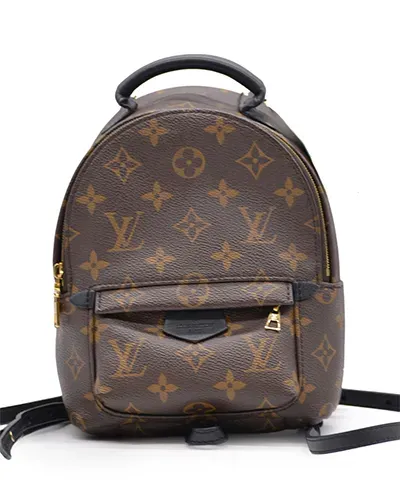 Louis Vuitton Palm Spring Mini GHW pre-owned in Dubai