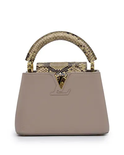Louis Vuitton Capuccine Mini Galet Gray Python GHW pre-owned in Dubai